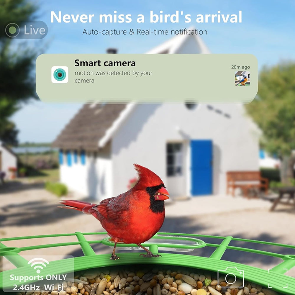 DeasNocx WiFi Bird Feeder Camera 1080P HD Night Vision