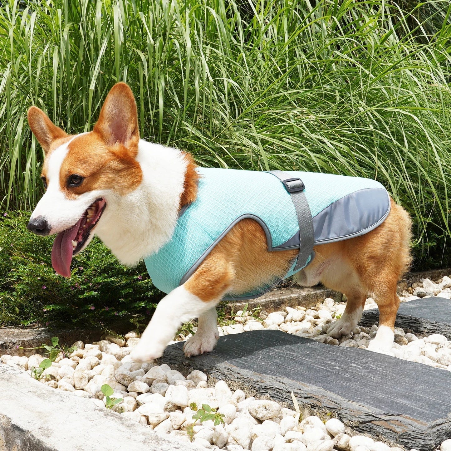 VeciGimax Dog Cooling Vest - Evaporative Heat Relief Jacket