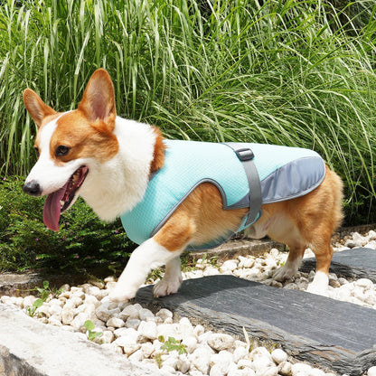 VeciGimax Dog Cooling Vest - Evaporative Heat Relief Jacket