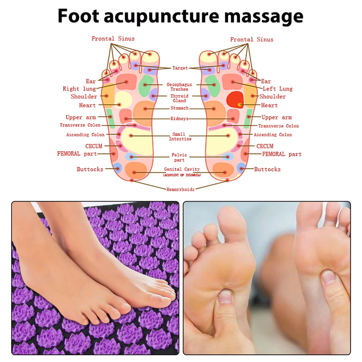 AcuRelaxy Acupressure Mat for Back Pain & Relaxation UK