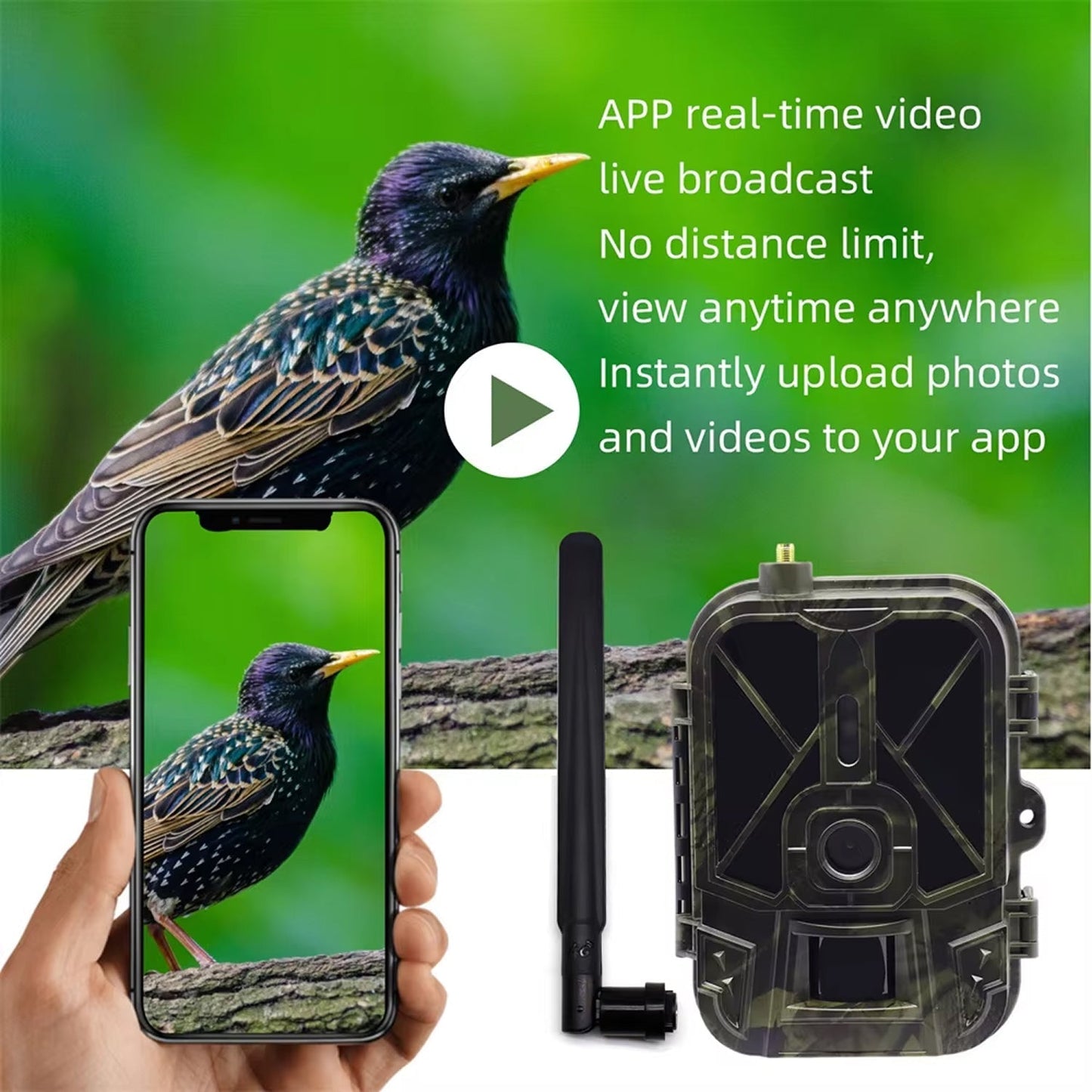 BushiCame 4G LTE 4K Night Wildlife Camera for Garden & Hunting
