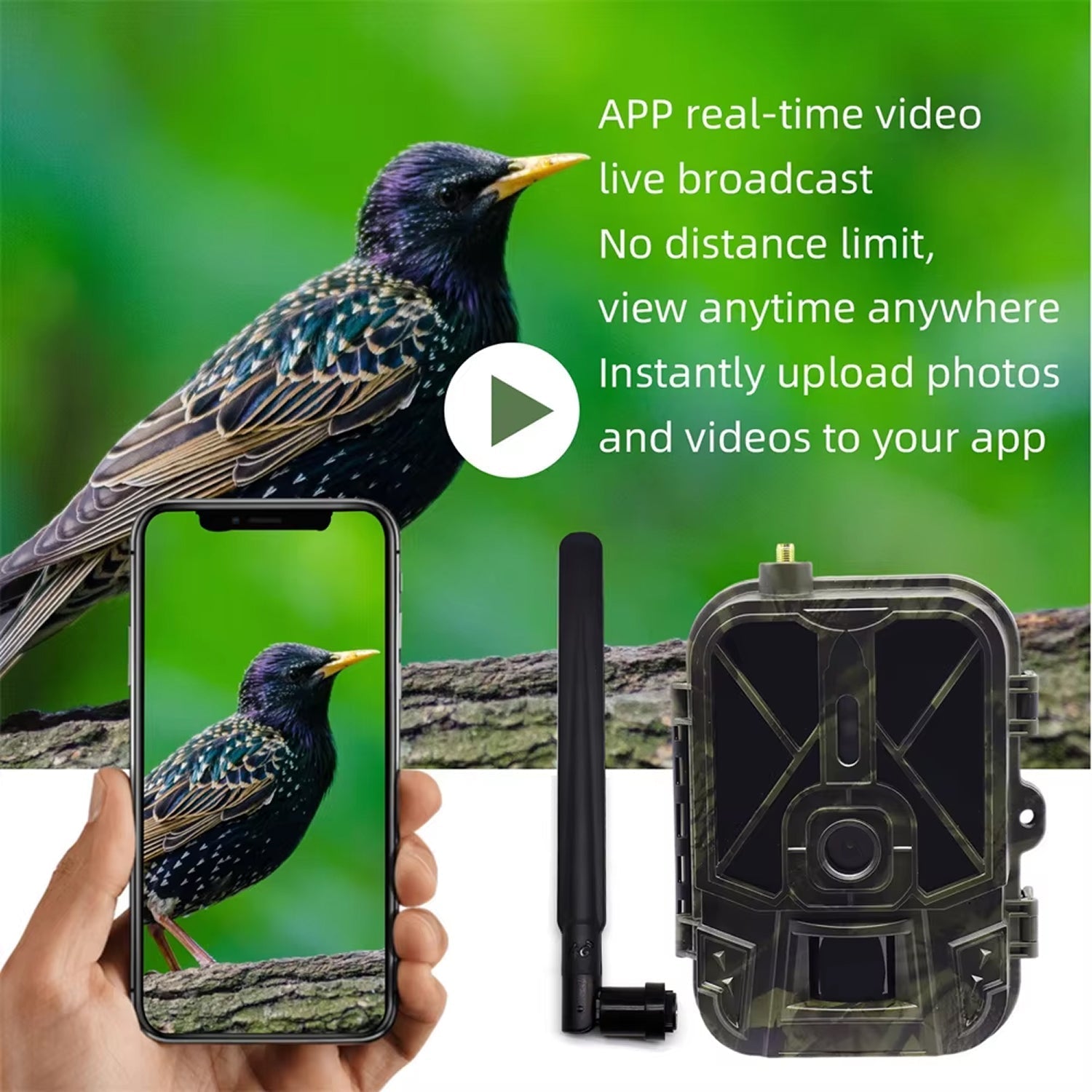 BushiCame 4G LTE 4K Night Wildlife Camera for Garden & Hunting