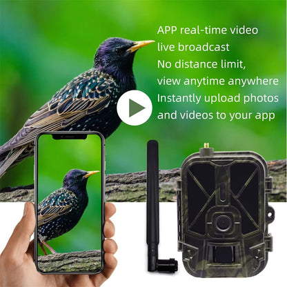 BushiCame 4G LTE 4K Night Wildlife Camera for Garden & Hunting