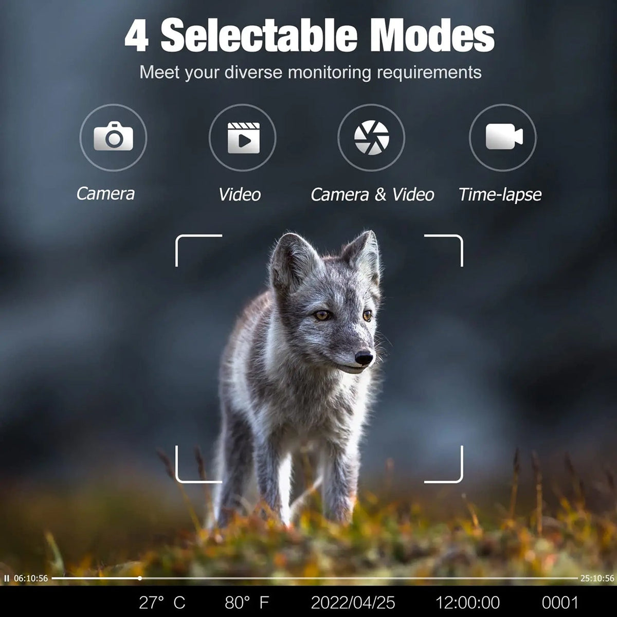 BushiCame 4G LTE 4K Night Wildlife Camera for Garden & Hunting