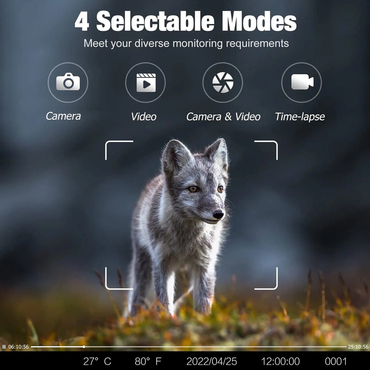 BushiCame 4G LTE 4K Night Wildlife Camera for Garden & Hunting