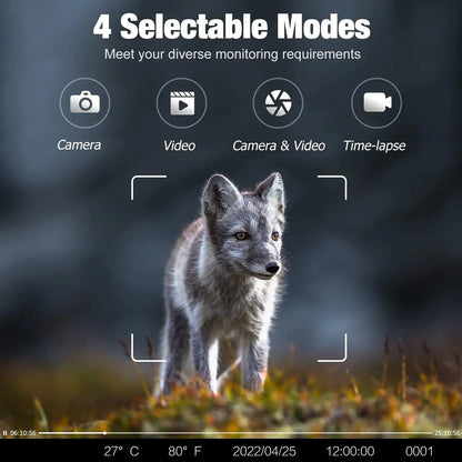BushiCame 4G LTE 4K Night Wildlife Camera for Garden & Hunting