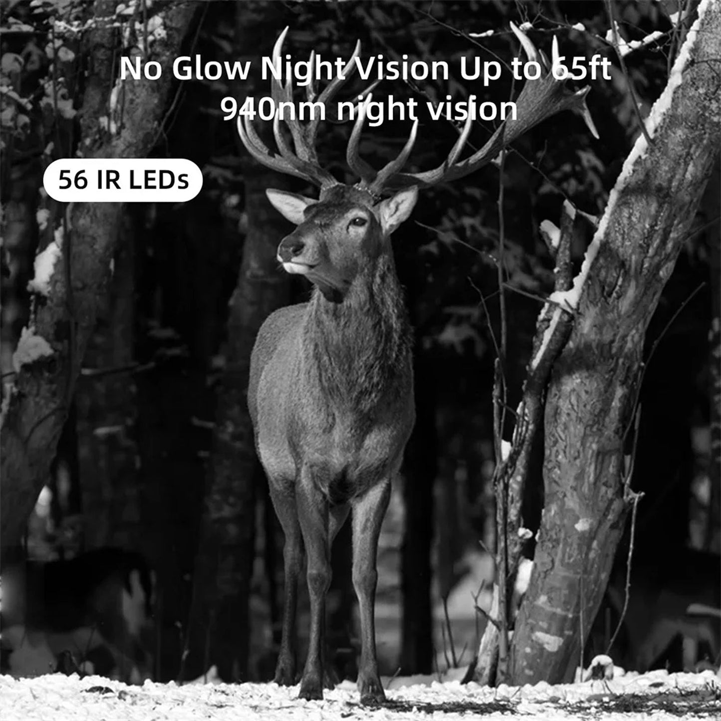BushiCame 4G LTE 4K Night Wildlife Camera for Garden & Hunting