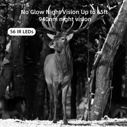 BushiCame 4G LTE 4K Night Wildlife Camera for Garden & Hunting