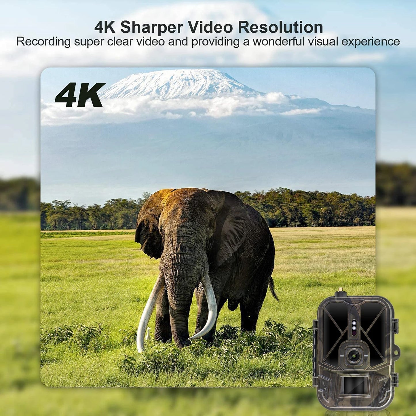 4G LTE Wildlife Trail Camera 4K No-Glow Night Vision