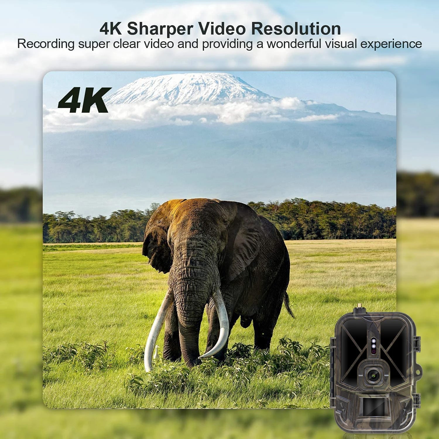 4G LTE Wildlife Trail Camera 4K No-Glow Night Vision