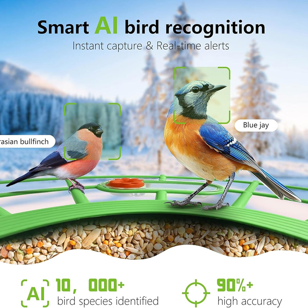 DeasNocx WiFi Bird Feeder Camera 1080P HD Night Vision