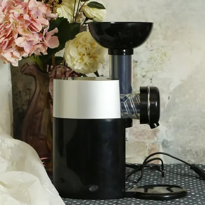 Healthy Frozen Fruit Soft Serve Maker by Creamizix