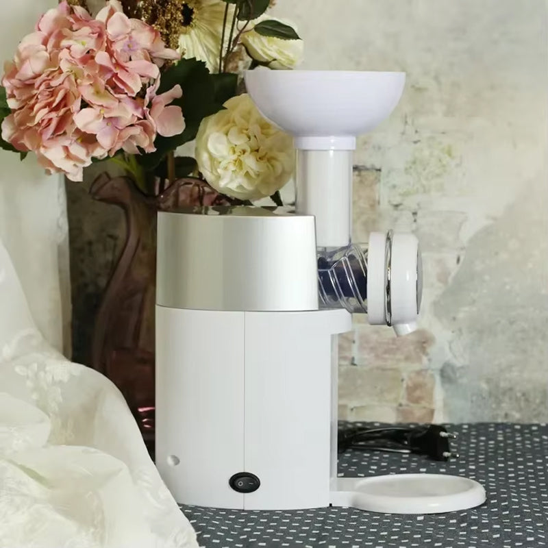 Healthy Frozen Fruit Soft Serve Maker by Creamizix