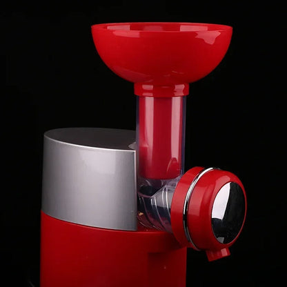 Healthy Frozen Fruit Soft Serve Maker by Creamizix