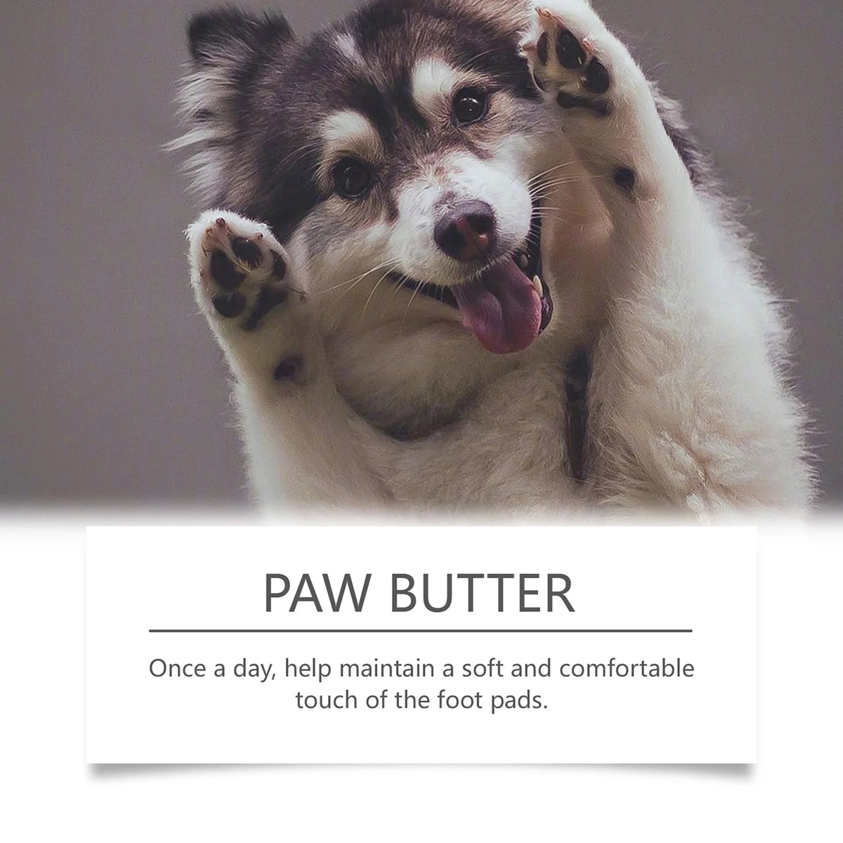 DeaEllant Protective Dog Paw Balm with Beeswax