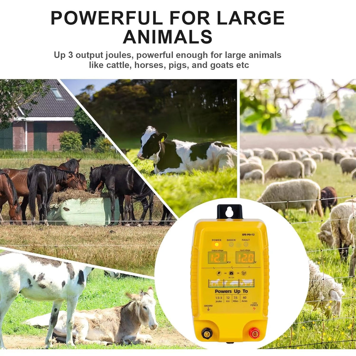 FeciLaxi Electric Fence Energizer 12kV 60-Acre Coverage Solar Battery AC