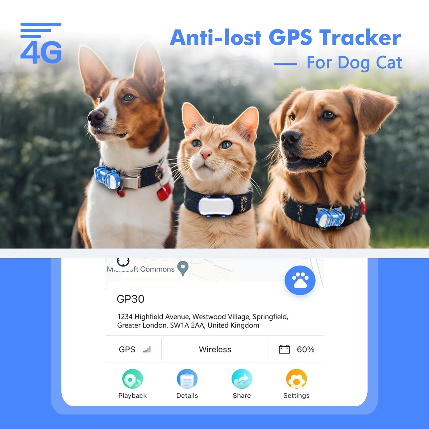 GeoPapup