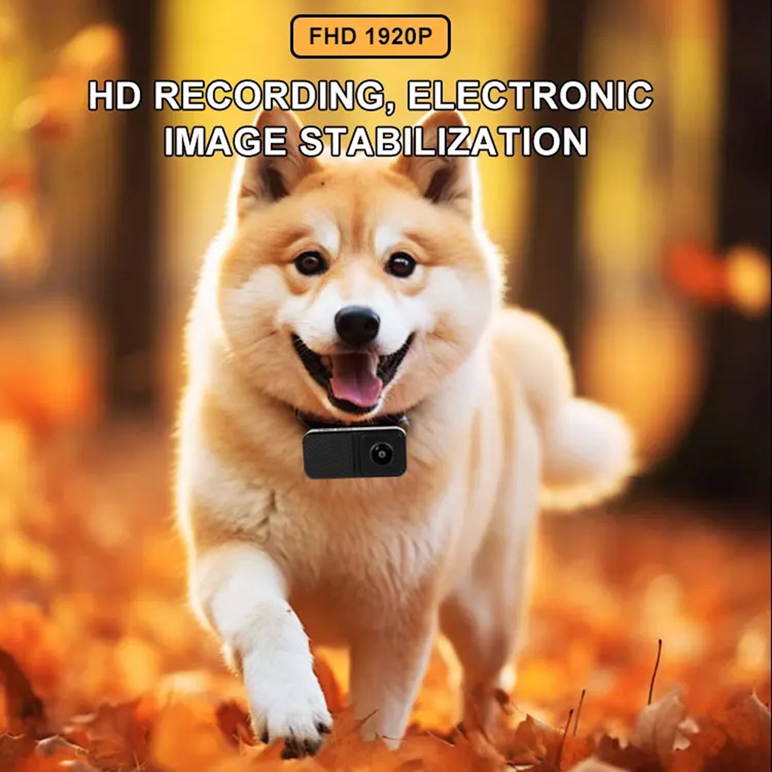 KITTITREK 1080P HD Pet Camera with 160° Wide-Angle Lens