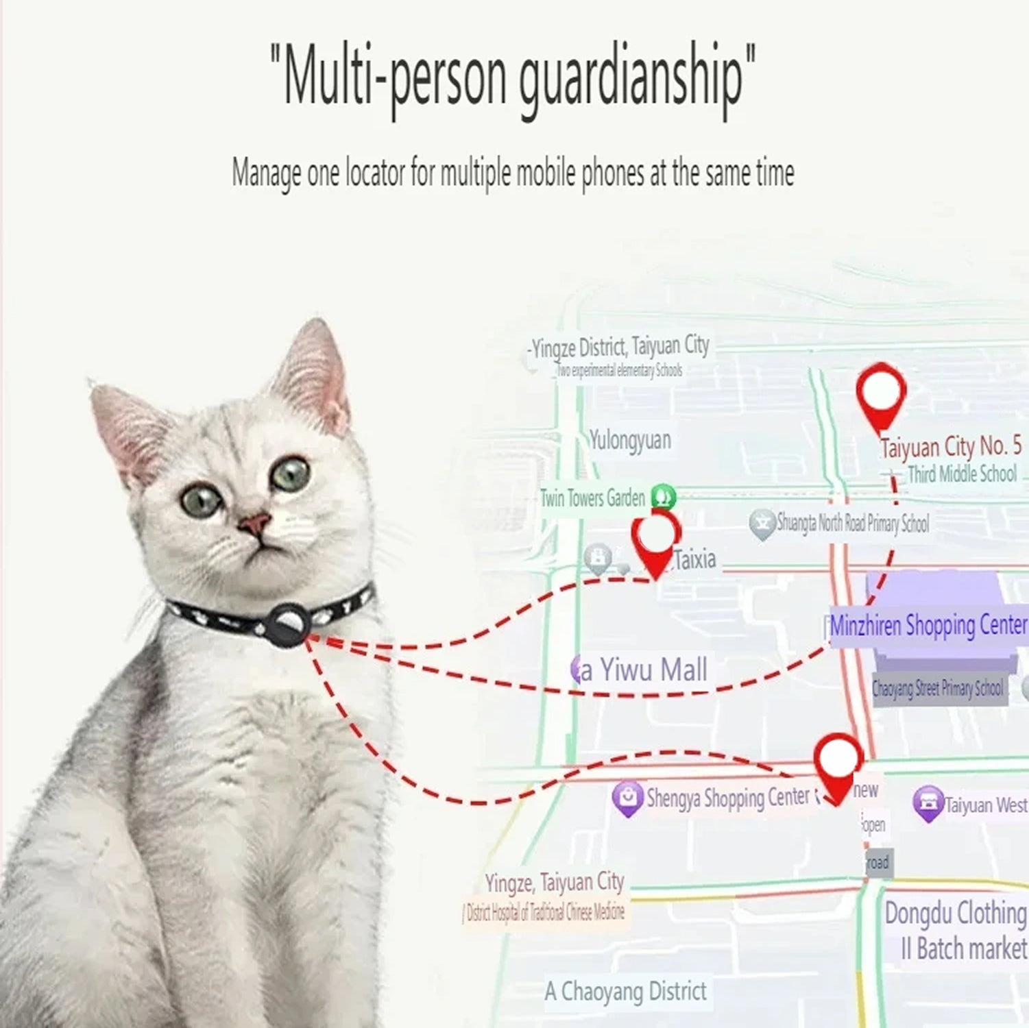 MeowMapi