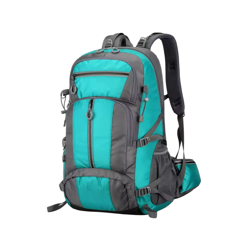 PionNomad