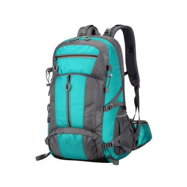 PionNomad