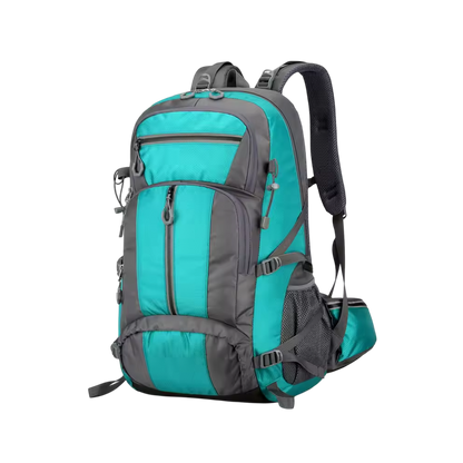 PionNomad