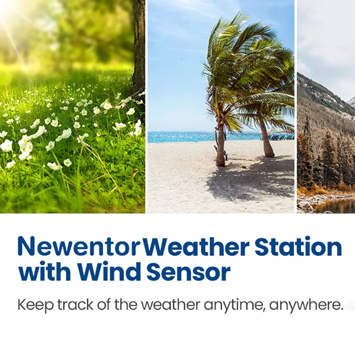 TaciAtmos 8-in-1 Professional Wi-Fi Weather Station