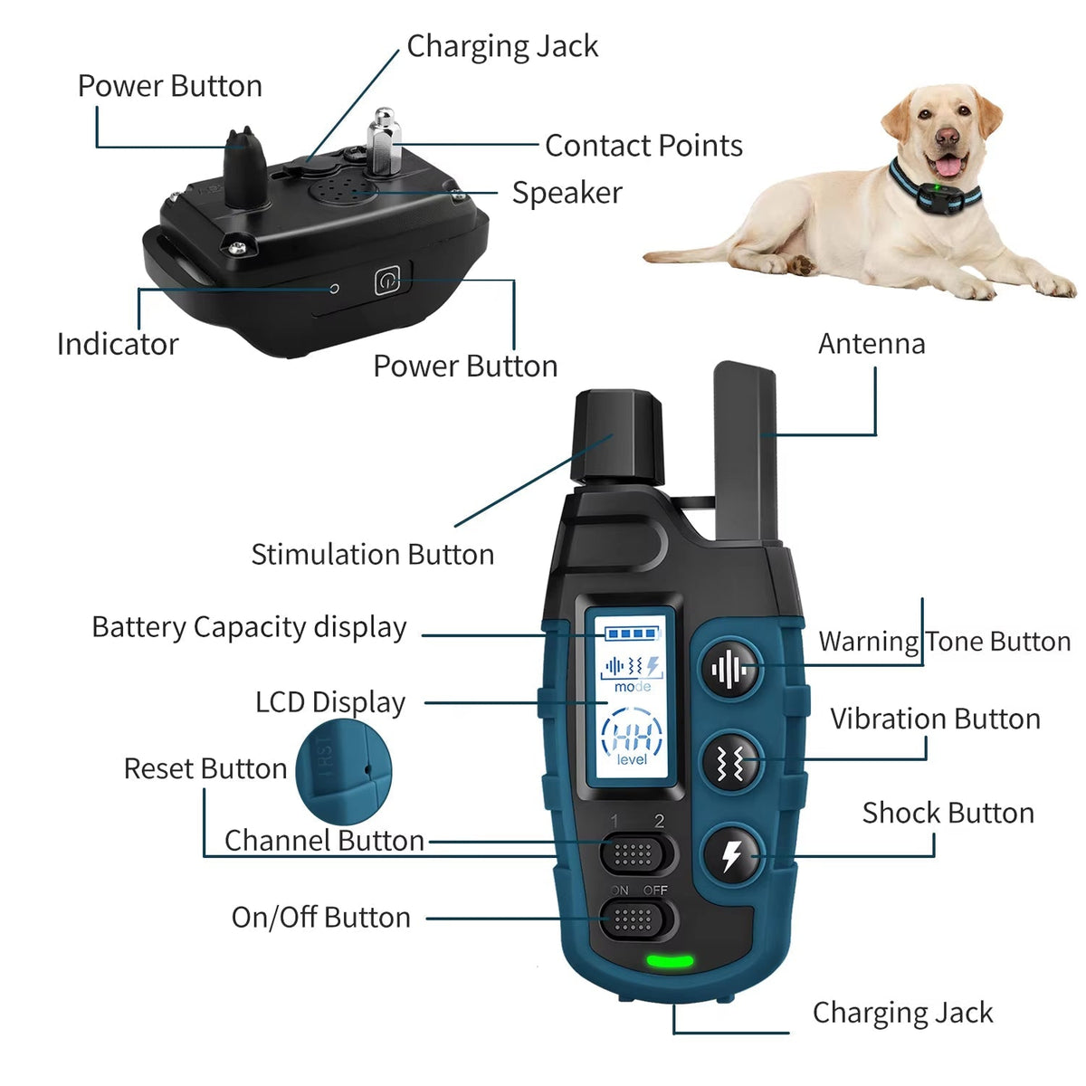 TrainyPaw Dog Training Collar | 3300ft Range & IP67 Waterproof