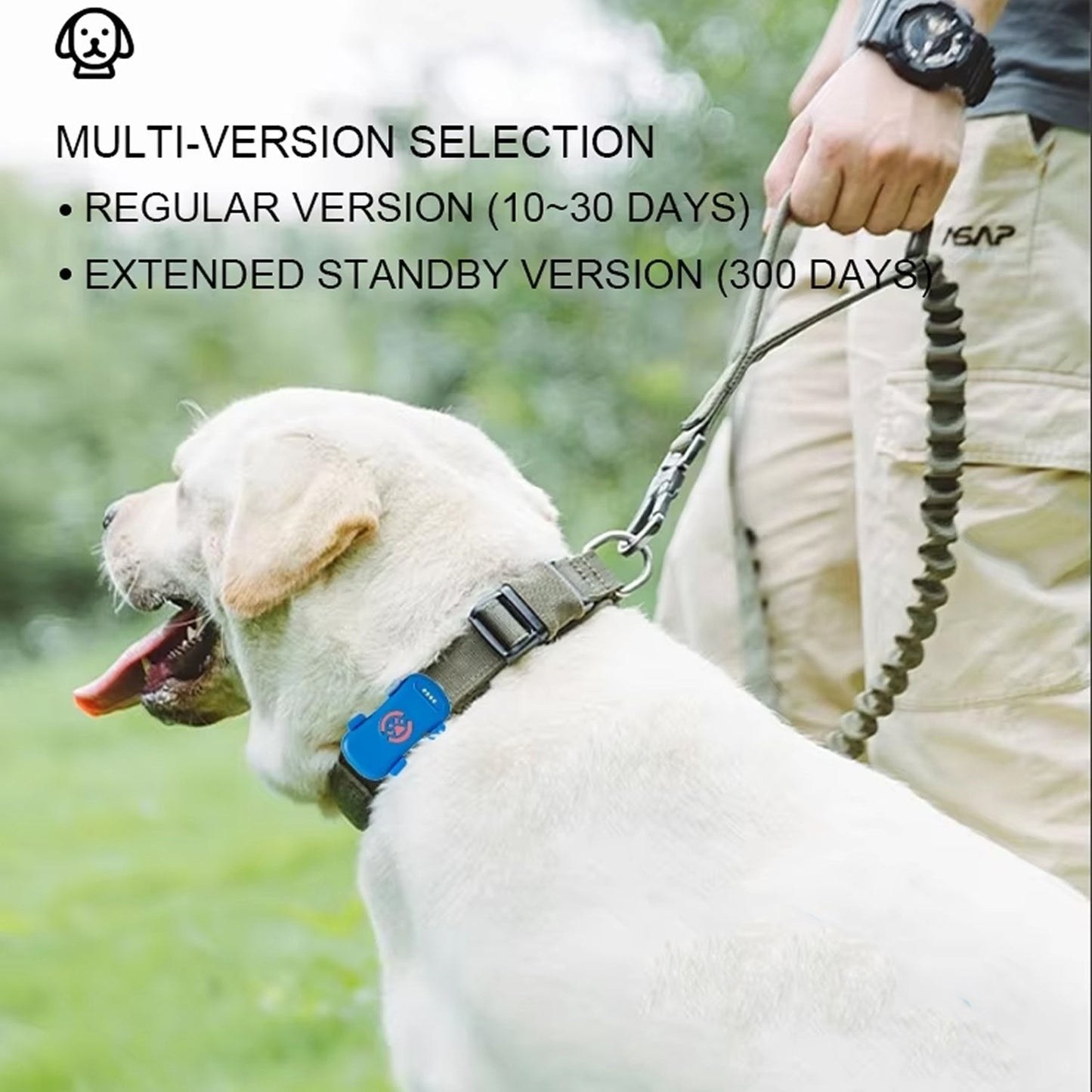 TrekoPup Real-Time 4G Dog GPS Tracker with 300-Day Battery