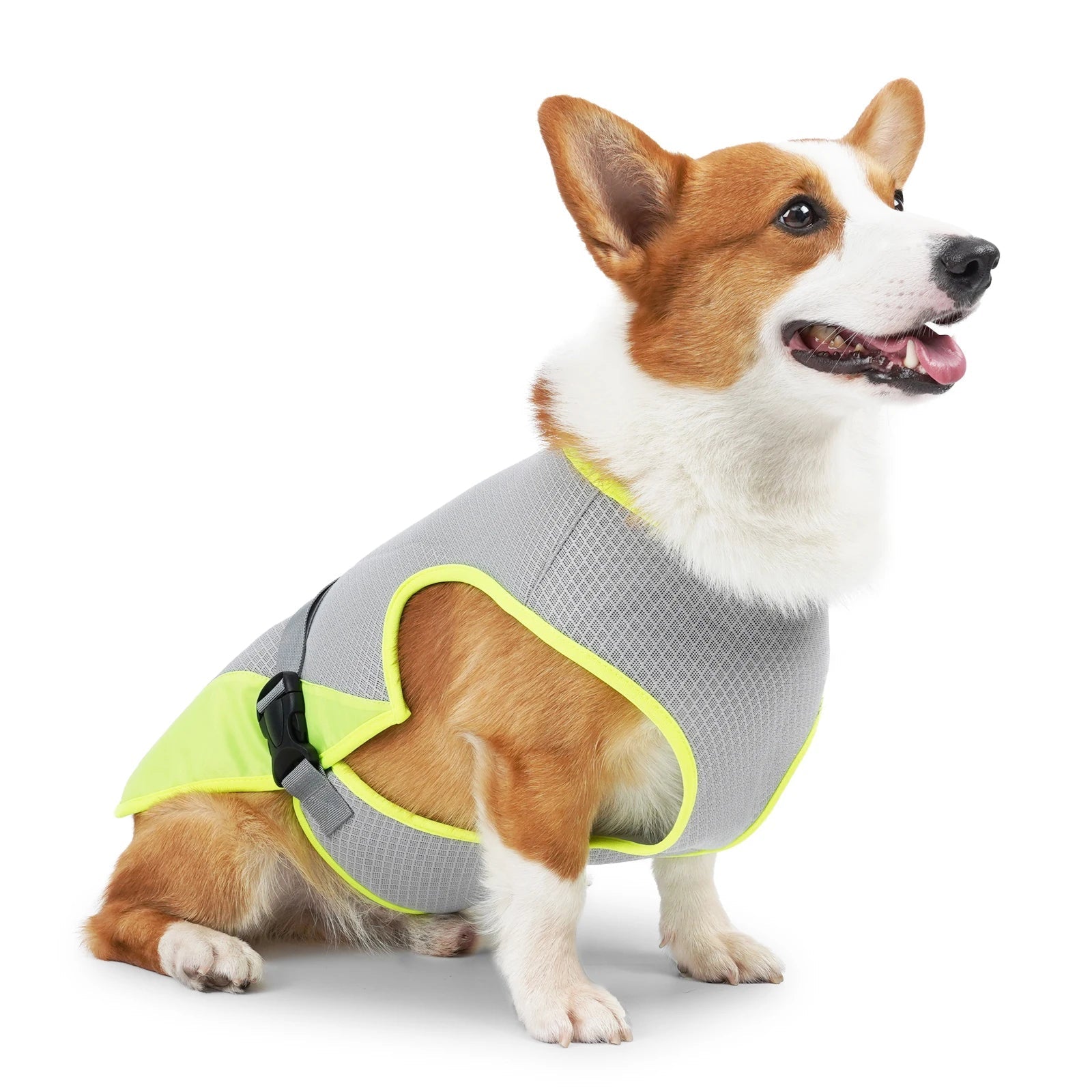 VeciGimax Dog Cooling Vest - Evaporative Heat Relief Jacket