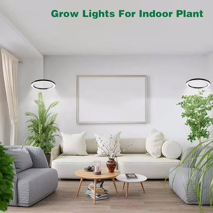 VynGreen
