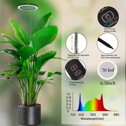 VynGreen