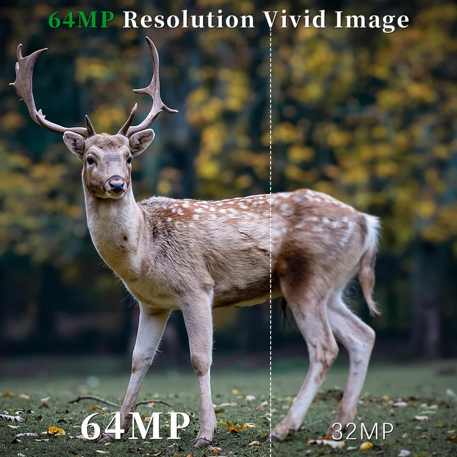 WildSpux